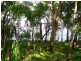 53 Lakes Boulevarde, Wooloweyah NSW 2464