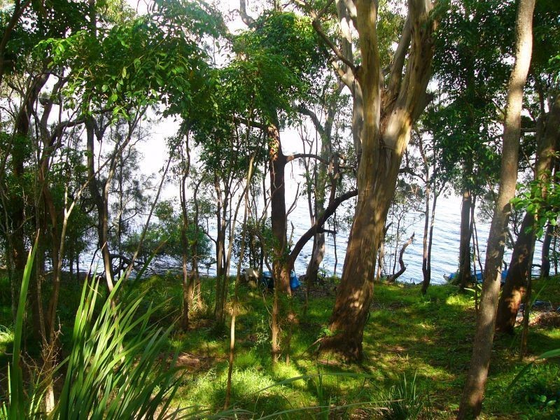 53 Lakes Boulevarde, Wooloweyah NSW 2464