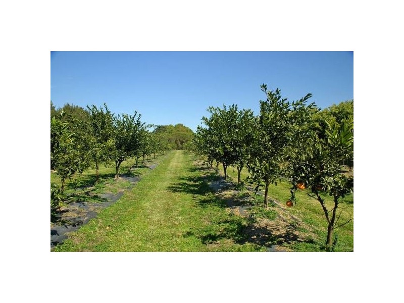 Palmers Island NSW 2463