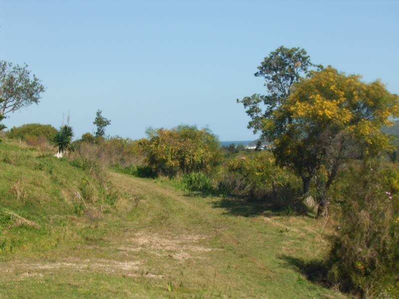 19 Lake Street, Angourie NSW 2464