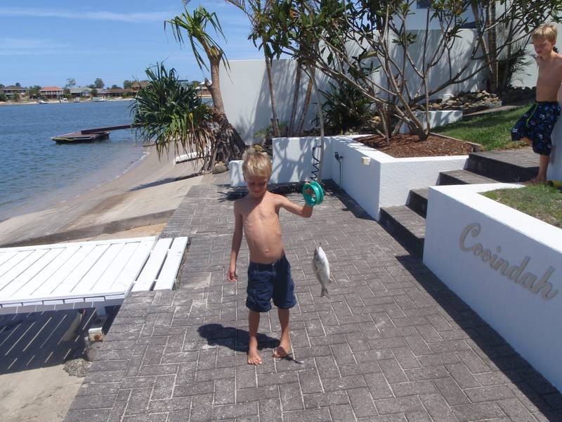 30 ACACIA CIRCUIT, Yamba NSW 2464