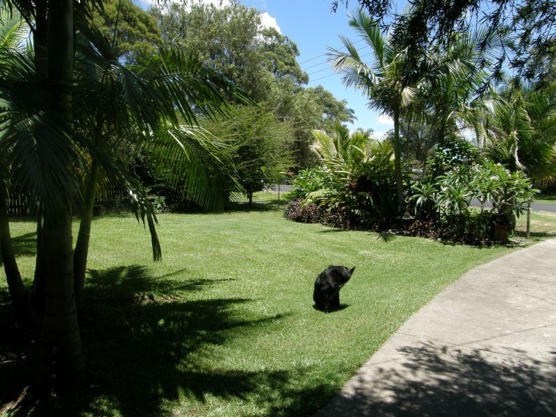 8 Carrington Lane, Palmers Island NSW 2463