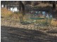 Gulgong NSW 2852