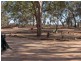 Gulgong NSW 2852