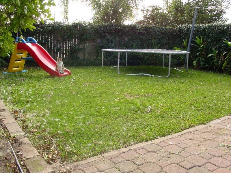 5 Bayview Street, Arncliffe NSW 2205