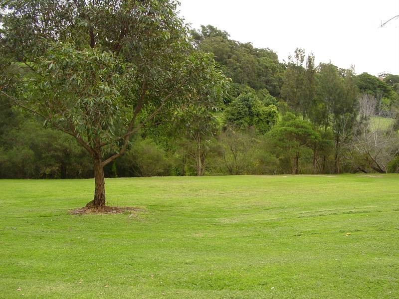 45 The Glen Road, Bardwell Valley NSW 2207