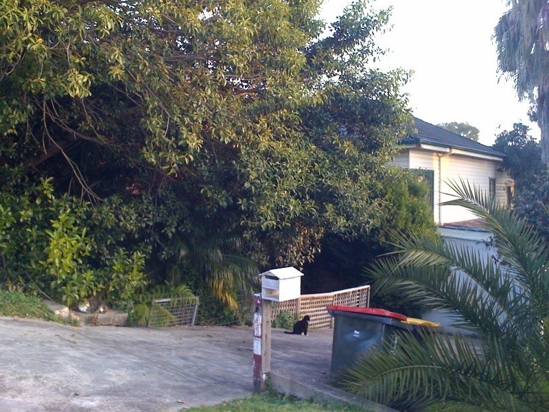 41 John Street, Bardwell Valley NSW 2207