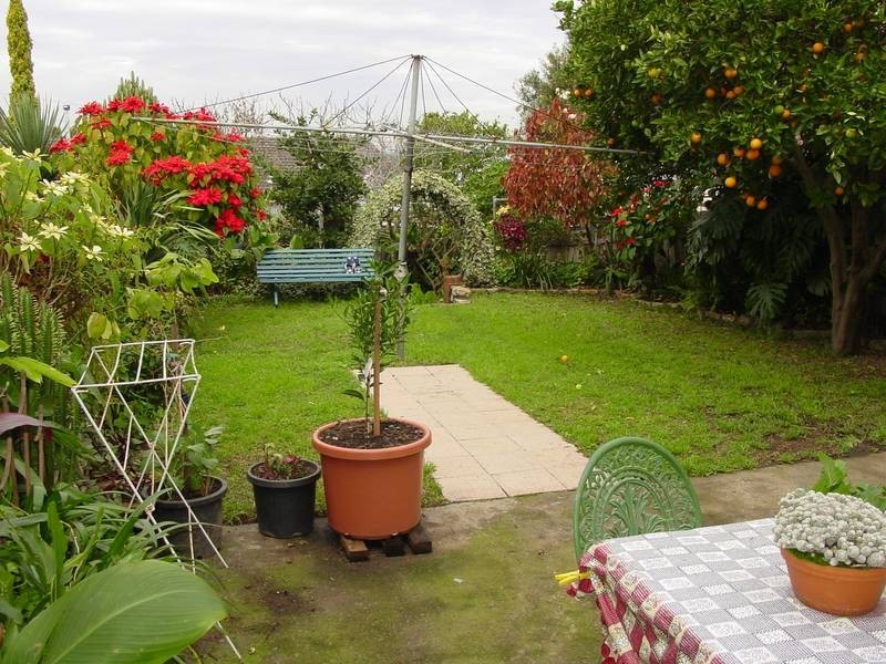 38 Forest Road, Arncliffe NSW 2205