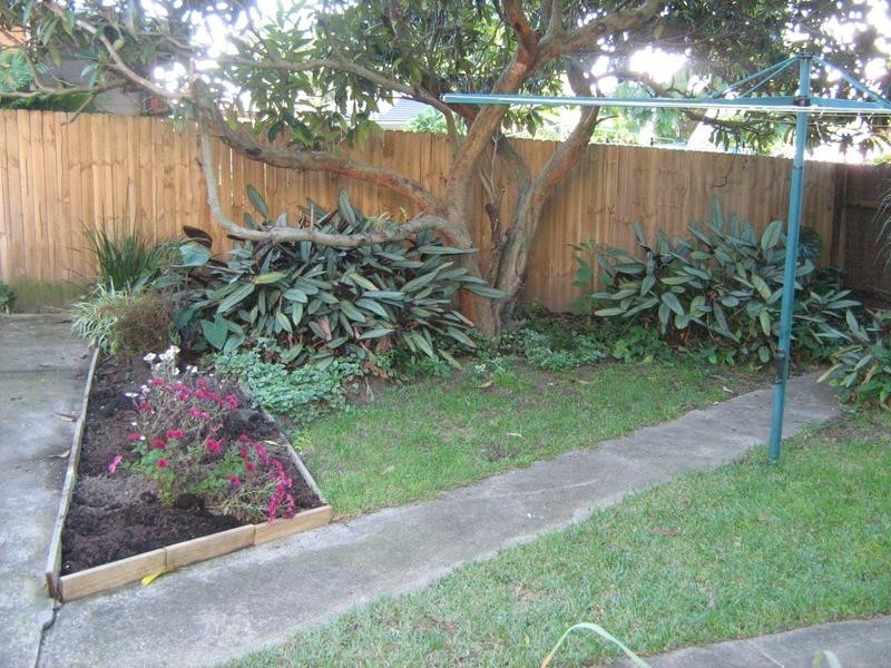 77 Willington Street, Turrella NSW 2205