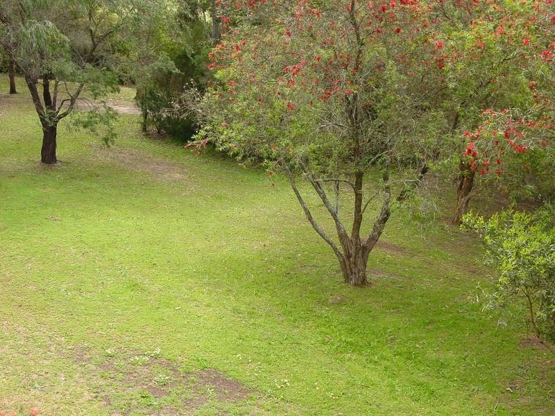 20/25 The Glen Road, Bardwell Valley NSW 2207