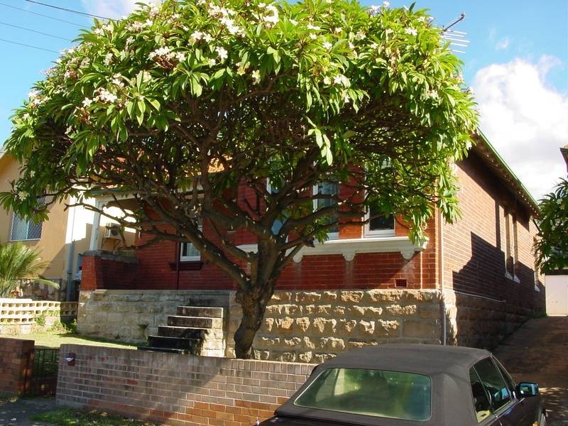 22 King Edward Street, Rockdale NSW 2216