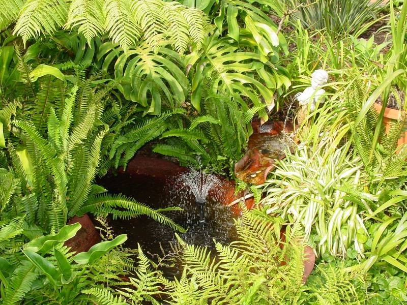 218 Beauchamp Road (corner of Bunnerong Road), Matraville NSW 2036