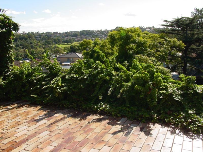 63 Denison Street, Arncliffe NSW 2205