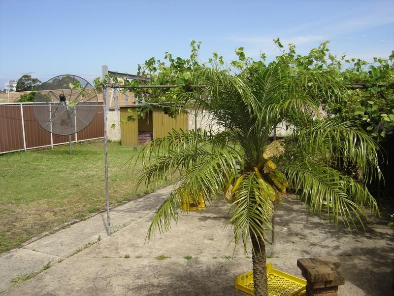 12a Booth Street, Arncliffe NSW 2205