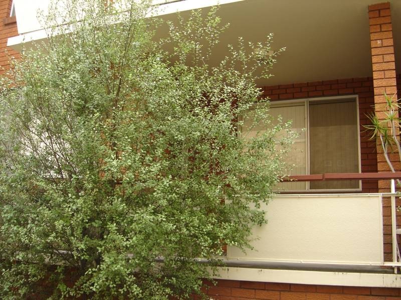 3/42 President Ave, Kogarah NSW 2217