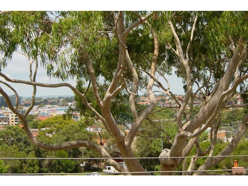 5 View Street, Arncliffe NSW 2205