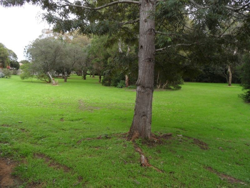 25 The Glen Road, Bardwell Valley NSW 2207