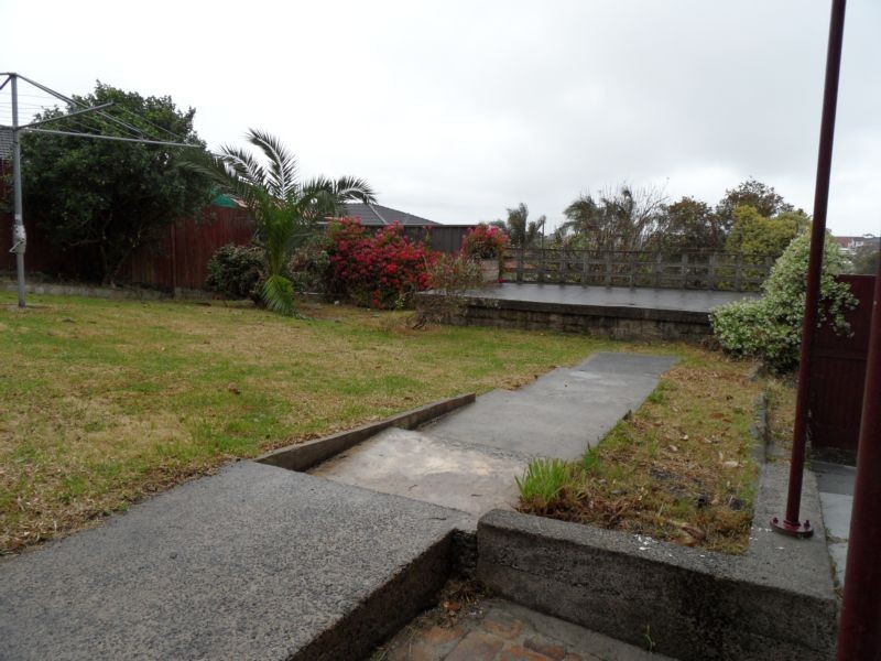 41 Clarence Road, Rockdale NSW 2216