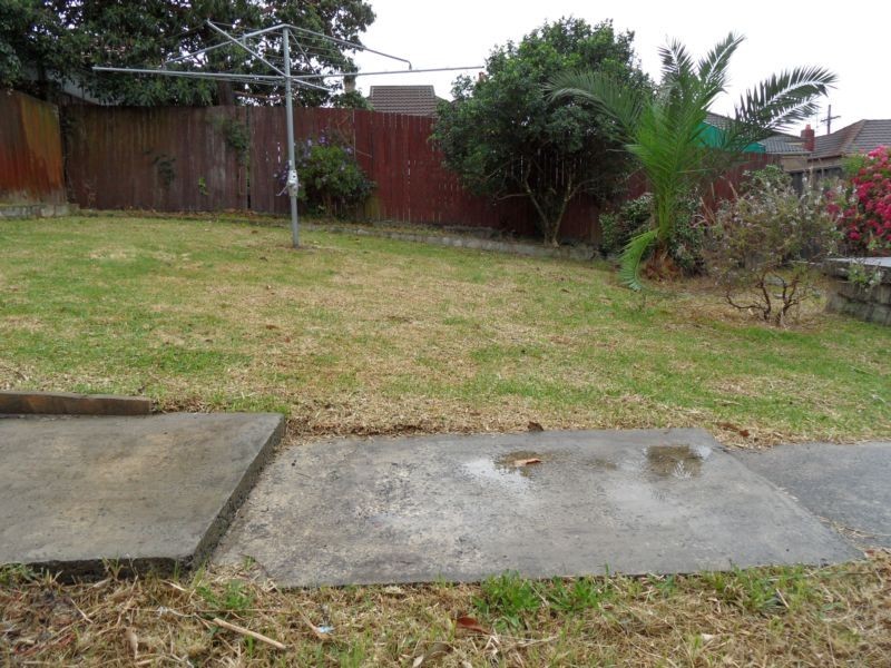 41 Clarence Road, Rockdale NSW 2216