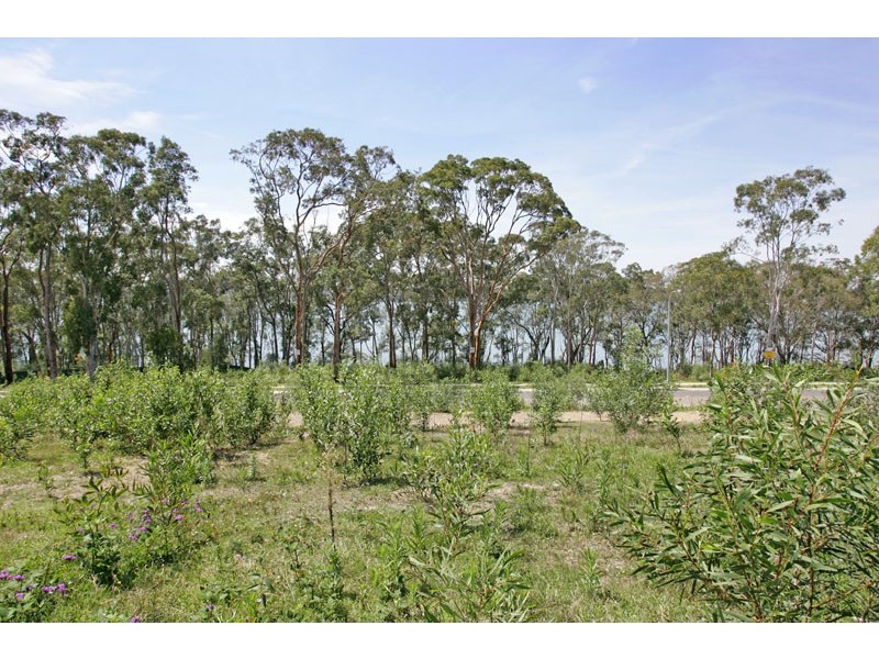 Lot 212,  Halwin Close, Wyee Point NSW 2259