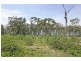 Lot 211,  Halwin Close, Wyee Point NSW 2259
