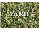 5 Illawong Road, Summerland Point NSW 2259