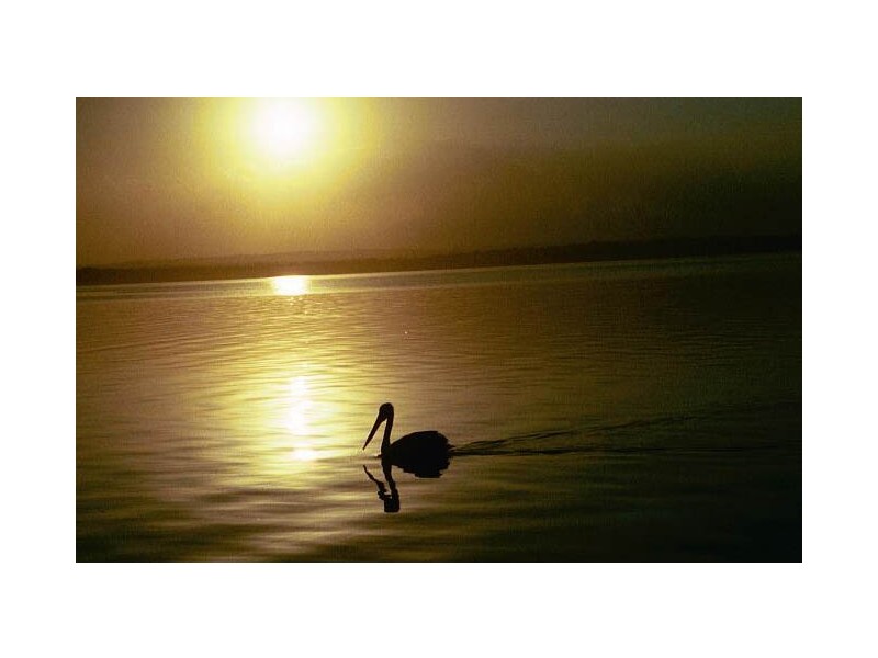 56 vales road, Mannering Park NSW 2259