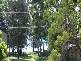 Mannering Park NSW 2259