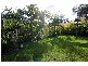 8A Tradewinds Avenue, Summerland Point NSW 2259