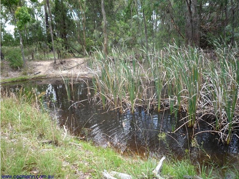 Amiens QLD 4352