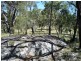 Liston NSW 2372
