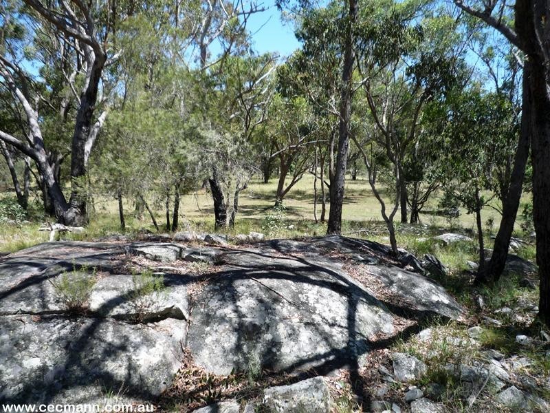 Liston NSW 2372