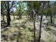 Liston NSW 2372