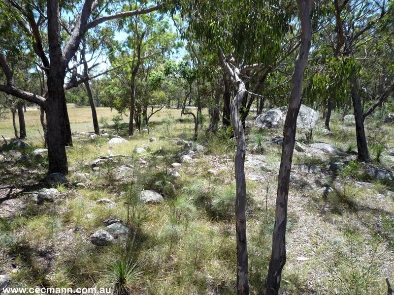 Liston NSW 2372