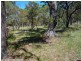 Liston NSW 2372