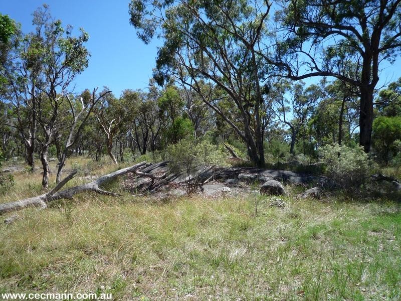 Liston NSW 2372