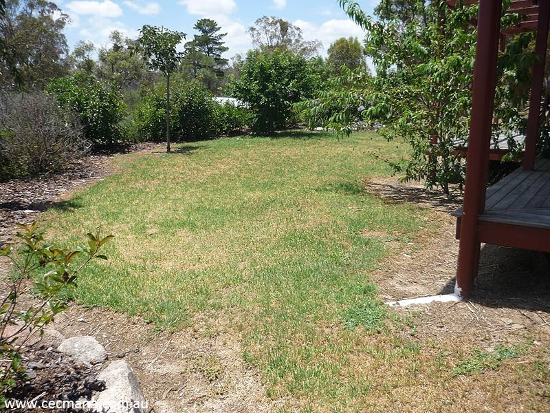 57 Lees Mountain Rd, Stanthorpe QLD 4380