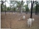 688 Mount Hutton Road, Greenlands QLD 4380