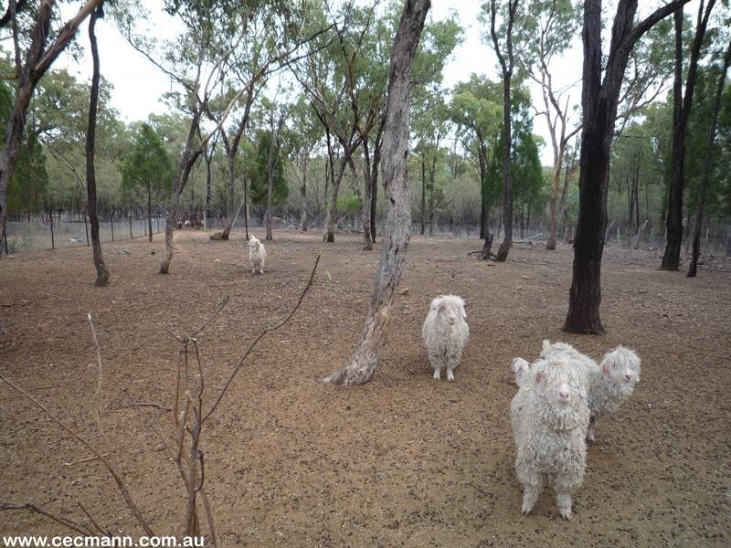 688 Mount Hutton Road, Greenlands QLD 4380