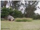 82 Perry Lane, Thulimbah QLD 4376
