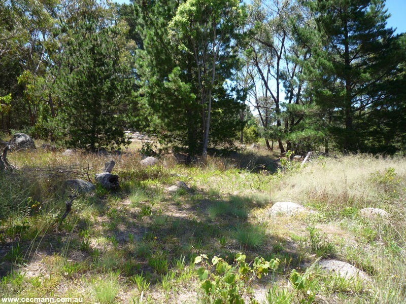 Lot 1 Old Caves Road, Stanthorpe QLD 4380