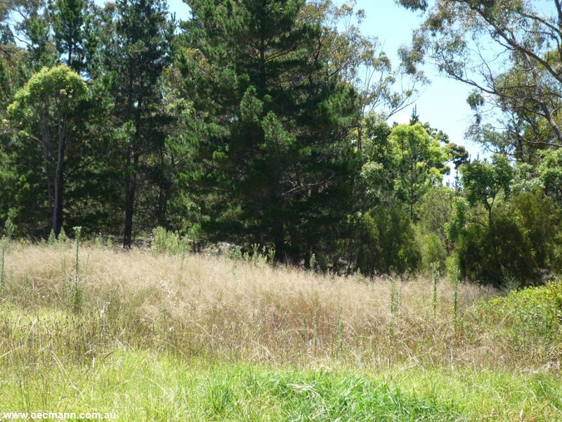 Lot 1 Old Caves Road, Stanthorpe QLD 4380