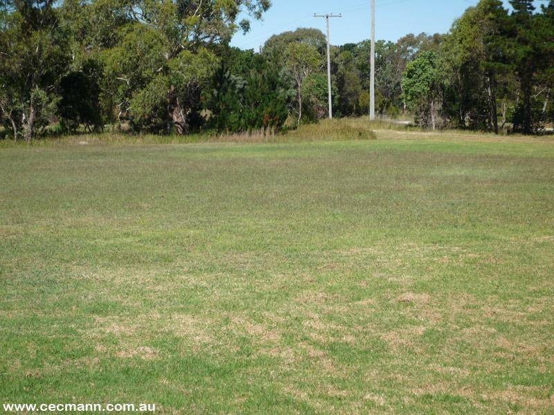 195 Newlands Road, Cottonvale QLD 4375
