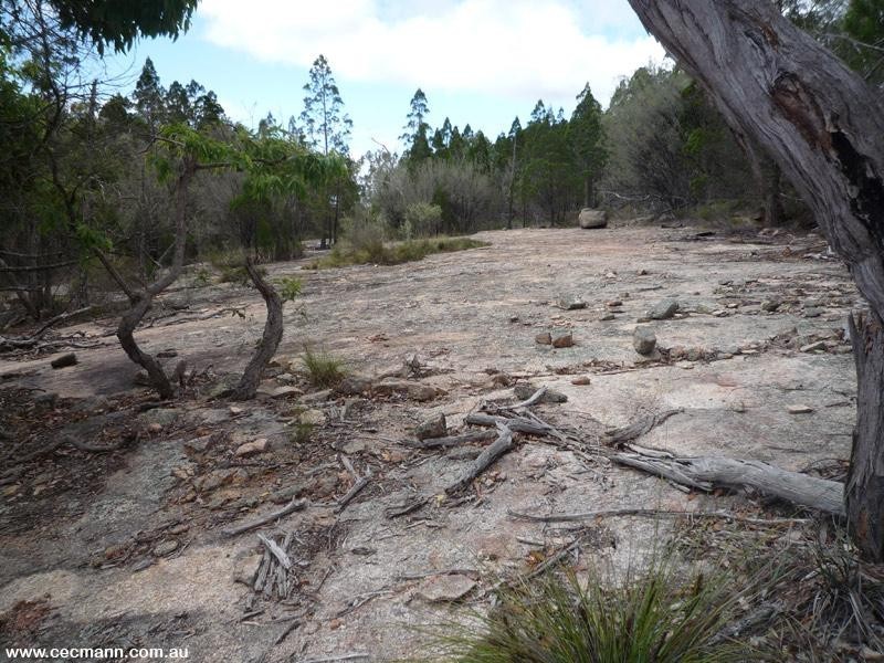 Lot 204 Cowies Lane, Amiens QLD 4352