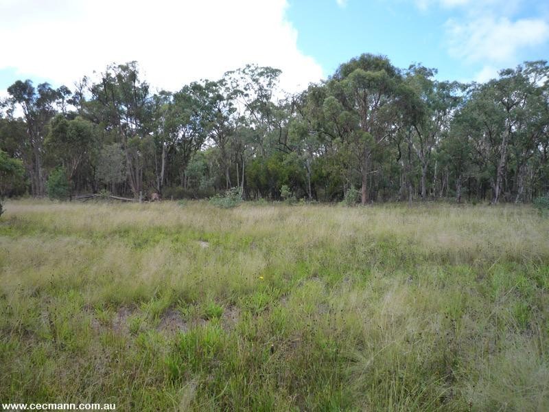 Lot 871 Cavallaro Lane, Glen Aplin QLD 4381
