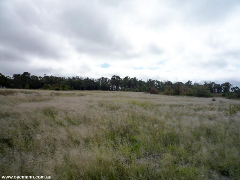 Lot 871 Cavallaro Lane, Glen Aplin QLD 4381