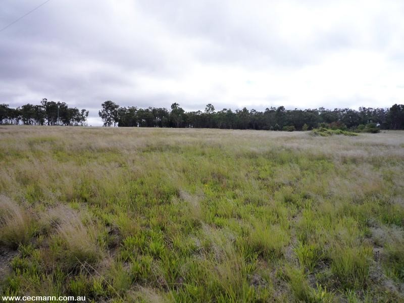 Lot 871 Cavallaro Lane, Glen Aplin QLD 4381
