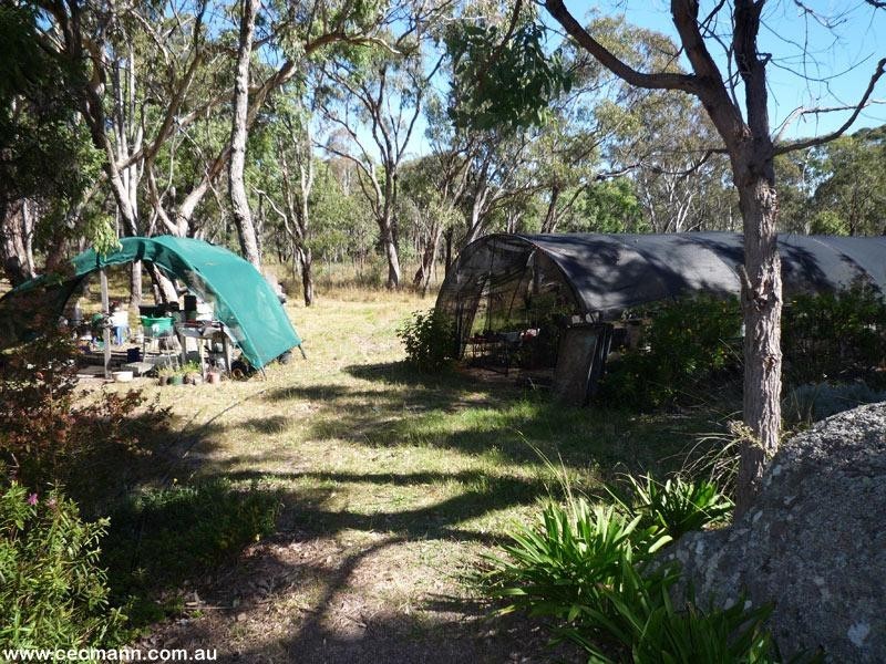 113 Nicholson Road, Thorndale QLD 4380