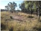 Lot 5 Amiens Road, Bapaume QLD 4352
