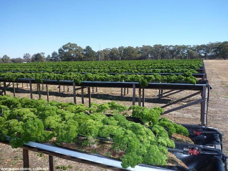 26 Caslick Lane, Broadwater QLD 4380